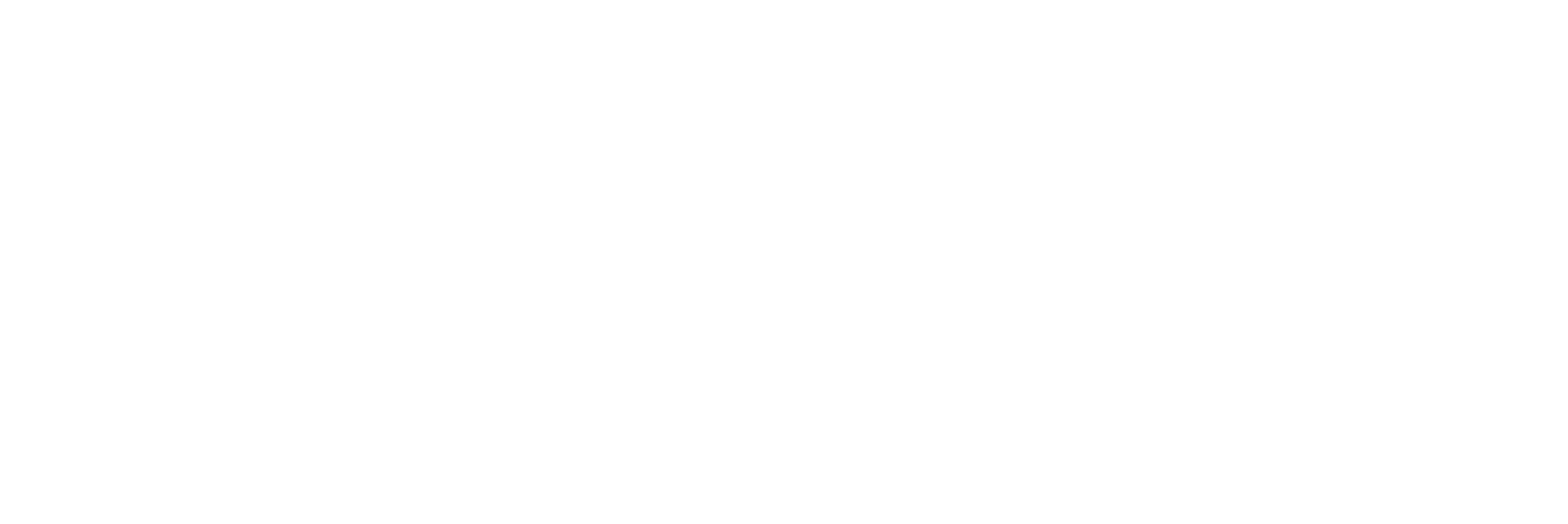 LH COMPANY